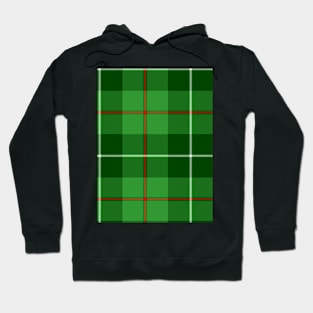 Clan Galloway Tartan Hoodie